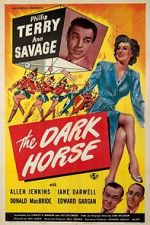 Watch The Dark Horse Primewire