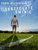 Watch Flying Pigs Primewire