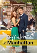 Watch A Match in Manhattan Primewire