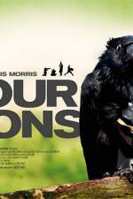 Watch Four Lions Primewire