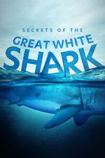 Watch Secrets of the Great White Shark Primewire