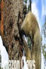 Watch National Geographic Wild Amazon Claws Primewire