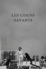 Watch Les chiens savants Primewire