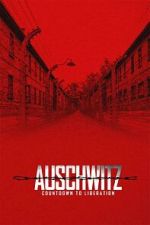 Watch Auschwitz: Countdown to Liberation Primewire