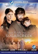 Watch Love Finds You in Sugarcreek Primewire