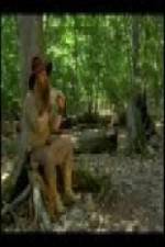 Watch The Goblin and the Woodsman Primewire