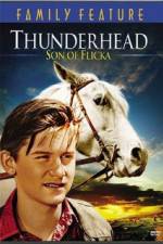 Watch Thunderhead - Son of Flicka Primewire