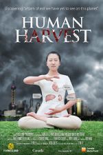 Watch Human Harvest Primewire