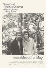 Watch Beautiful Boy Primewire