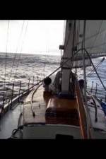Watch Forty-Two Feet of Teak Primewire
