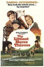 Watch The Littlest Horse Thieves Primewire