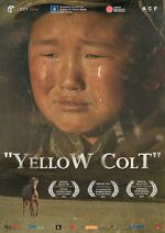 Watch Yellow Colt Primewire