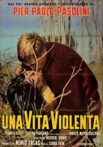 Watch Violent Life Primewire