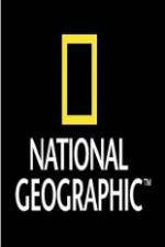 Watch National Geographic Wild Sharks Of Pirate Island Primewire