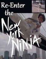 Watch Re-Enter the New York Ninja Primewire