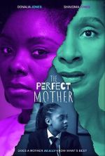 Watch The Perfect Mother Primewire