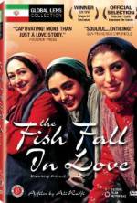 Watch The Fish Fall in Love Primewire