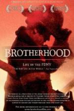 Watch Brotherhood Primewire