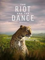 Watch The Riot and the Dance Primewire