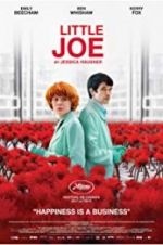 Watch Little Joe Primewire