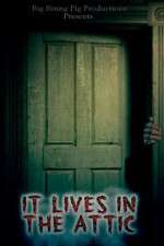 Watch It Lives in the Attic Primewire