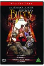Watch Buddy Primewire