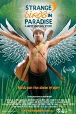 Watch Strange Birds in Paradise A West Papuan Story Primewire