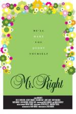 Watch Mr Right Primewire