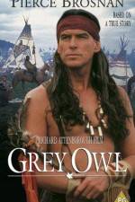 Watch Grey Owl Primewire
