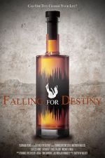 Watch Falling for Destiny Primewire
