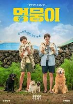 Watch My Heart Puppy Primewire
