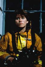 Watch Firefighter Primewire