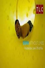 Watch Born Without Limbs Primewire