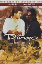 Watch Dingo Primewire