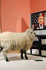 Watch Educating The Sheeple Primewire