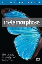 Watch Metamorphosis: The Beauty and Design of Butterflies Primewire