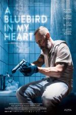 Watch A Bluebird in My Heart Primewire