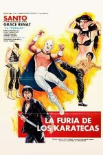 Watch The Fury of the Karate Experts Primewire