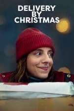 Watch Delivery by Christmas Primewire
