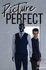 Watch Picture Perfect Primewire