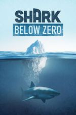 Watch Shark Below Zero Primewire