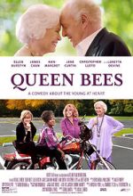 Watch Queen Bees Primewire