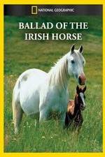 Watch Ballad of the Irish Horse Primewire
