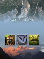 Watch Wilde Schweiz Primewire