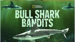 Watch Bull Shark Bandits Primewire