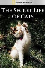 Watch The Secret Life of Cats Primewire