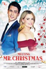 Watch Meeting Mr. Christmas Primewire