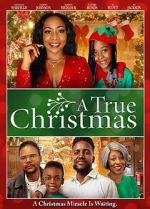 Watch A True Christmas Primewire