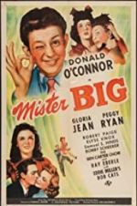 Watch Mister Big Primewire