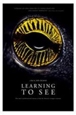 Watch Learning to See: The World of Insects Primewire
